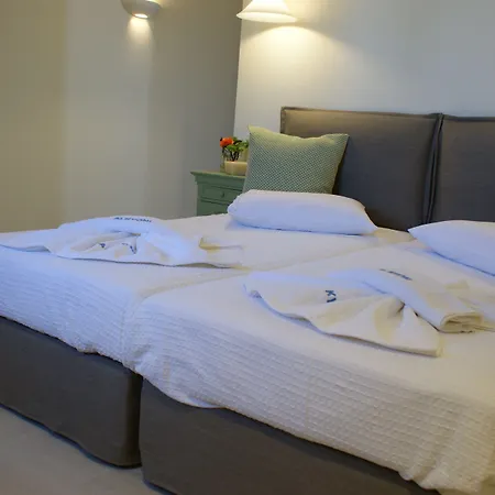 阿尔基尼海滩酒店 酒店 Naxos City