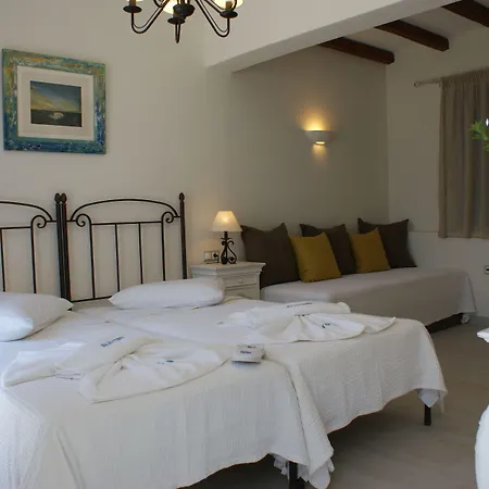 阿尔基尼海滩酒店 Naxos City