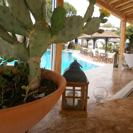 阿尔基尼海滩酒店 酒店 4*