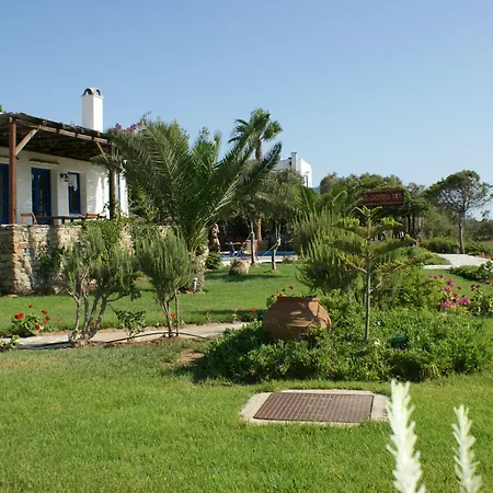 阿尔基尼海滩酒店 Naxos City