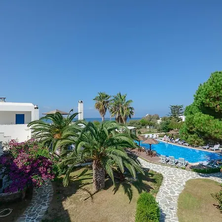 阿尔基尼海滩酒店 4* Naxos City