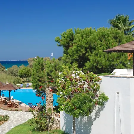 阿尔基尼海滩酒店 Naxos City