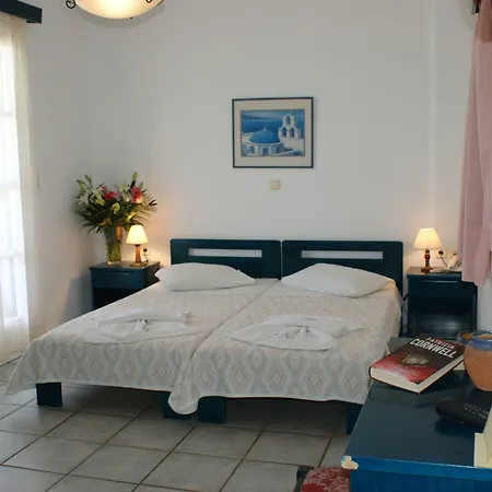 阿尔基尼海滩酒店 4* Naxos City