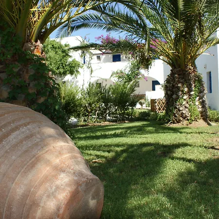 阿尔基尼海滩酒店 4* Naxos City