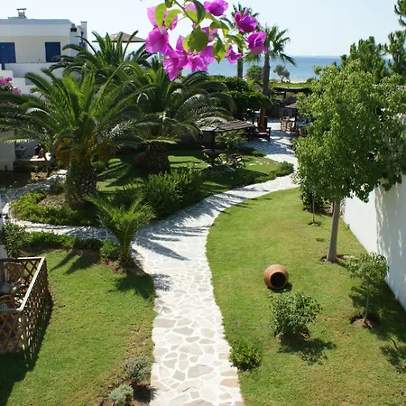 阿尔基尼海滩酒店 4* Naxos City