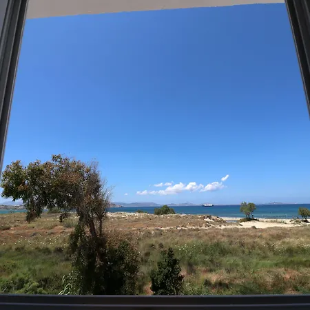 阿尔基尼海滩酒店 4* Naxos City